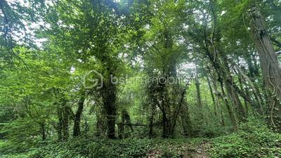 Terrain de loisirs - 1 900 m²