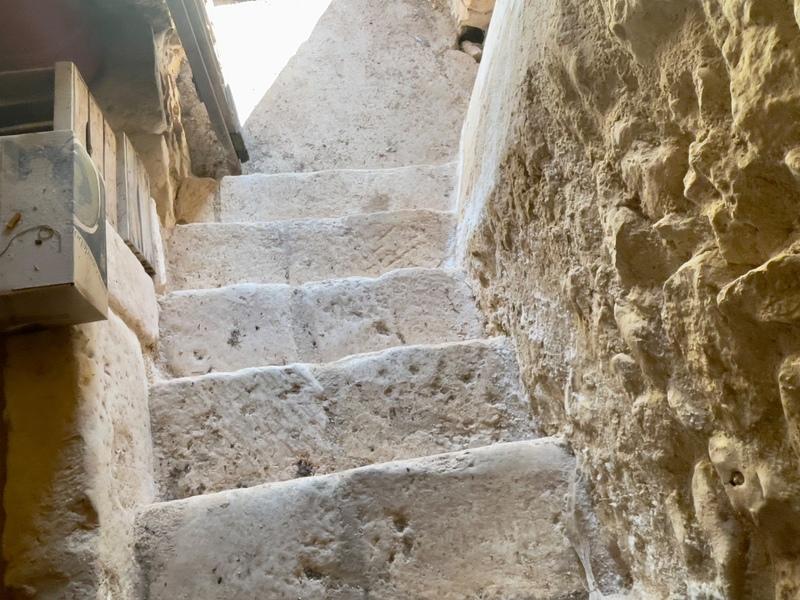 Château - 600 m² - 6 pièces