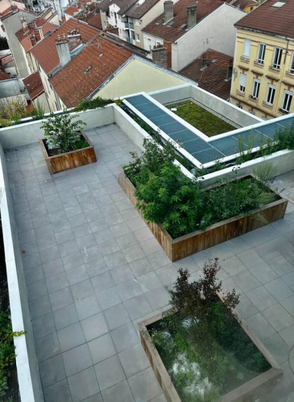 Studio - 31 m² - 1 pièce