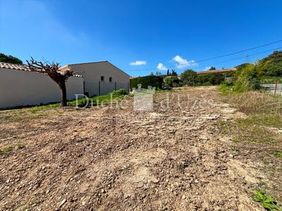 Terrain - 451 m²