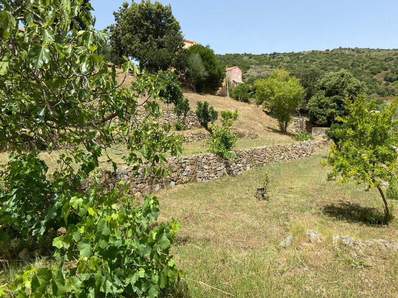 Terrain constructible - 1 110 m²