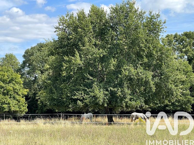 Maison - 178 m² - 7 pièces