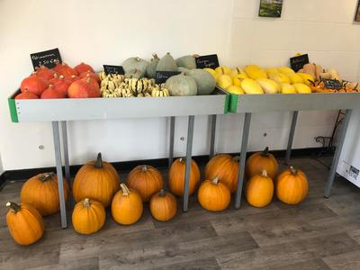 Le Carcotier des 3 Rivières