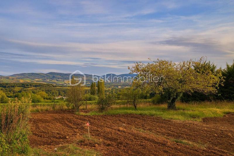 Terrain - 979 m²