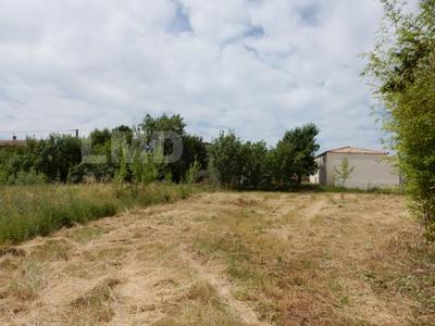 Terrain - 2 000 m²