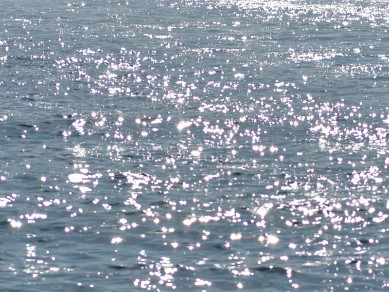 Journée mondiale de l'eau au Muséum d'Histoire Naturelle de Marseille (Mhnm)