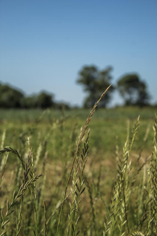 Au Jardin Bioretz - Magasin Bio Sainte Pazanne