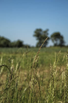 Au Jardin Bioretz - Magasin Bio Sainte Pazanne