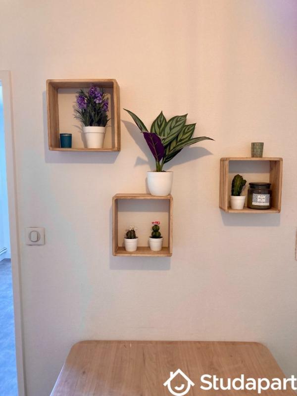 Chambre - 14 m² - 1 pièce