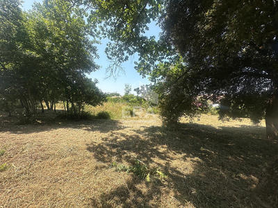 Terrain - 1 254 m²