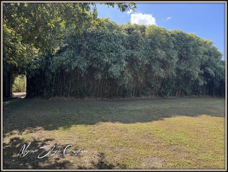 Maison - 116 m² - 3 pièces