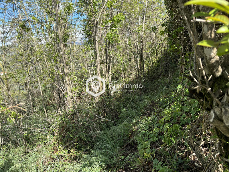 Maison ancienne - 700 m² - 4 pièces