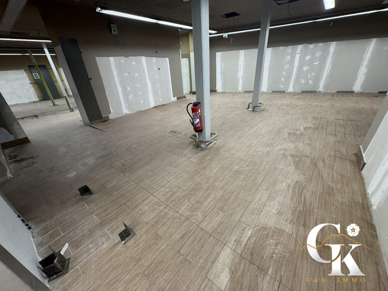 Local commercial - 1 172 m² - 11 pièces