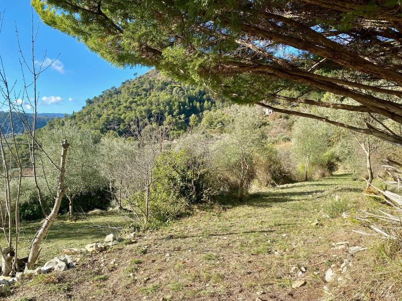 Terrain inconstructible - 2 400 m²