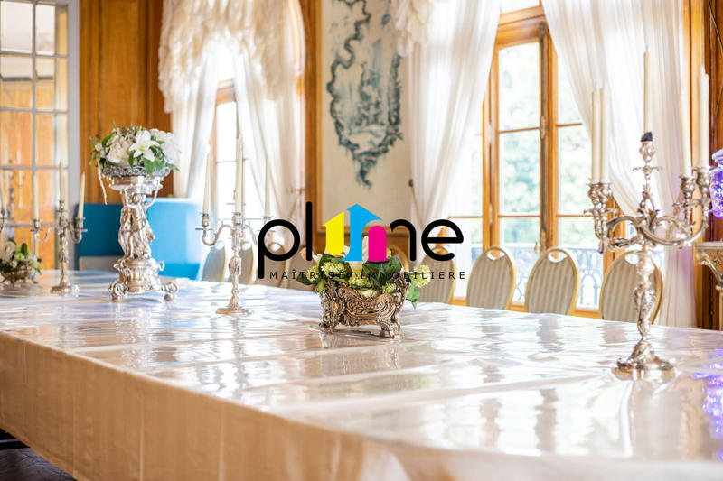 Maison - 973 m² - 17 pièces