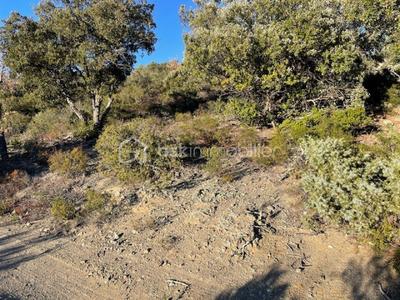 Terrain agricole - 6 500 m²