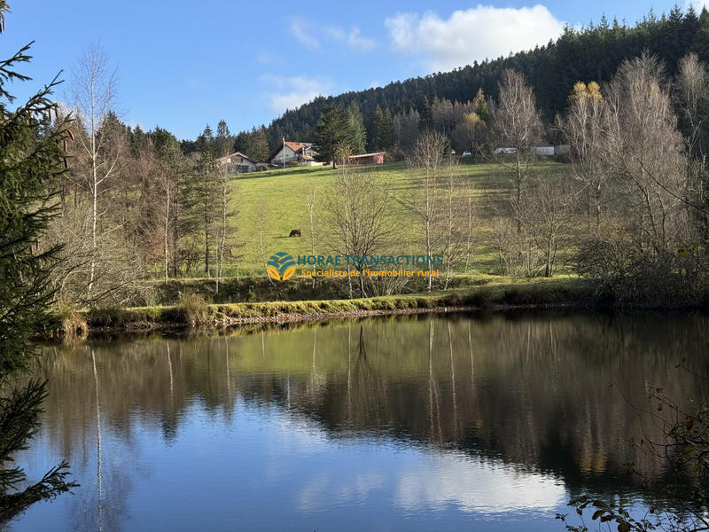 Maison - 323 m² - 15 pièces