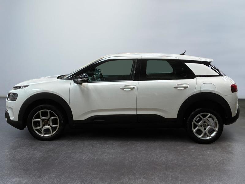 Citroën C4 Cactus Business PureTech 110 s&amp;S Bvm6 Feel