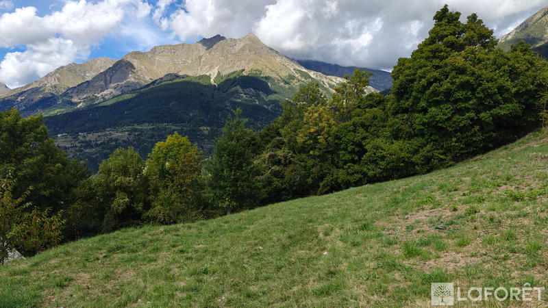 Terrain - 797 m²