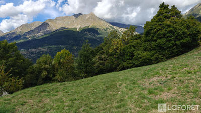 Terrain - 797 m²