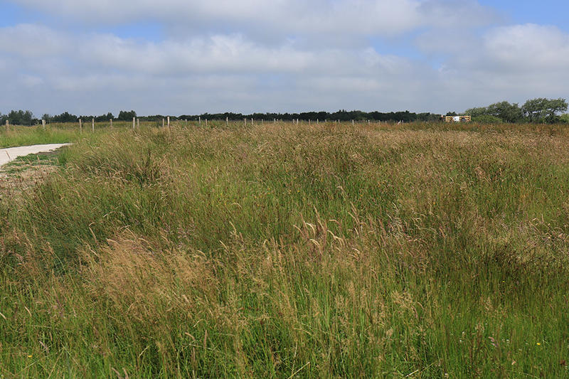 Pré communal d'Hardinghen - les mille et une vies
