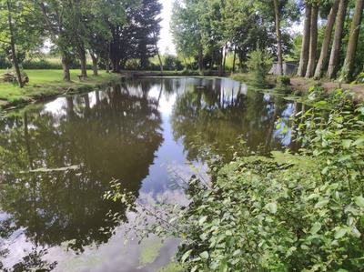 Maison - 165 m² - 7 pièces