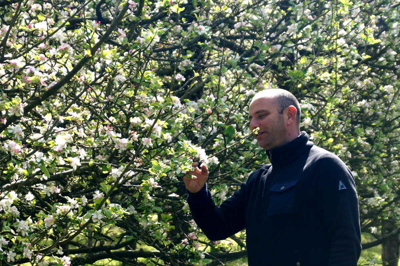 Visite guidée de la cidrerie du Domaine de Rugueville