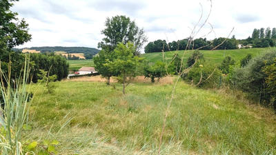 Terrain - 2 970 m²