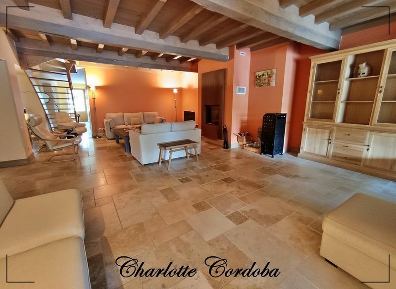 Maison - 293 m² - 8 pièces