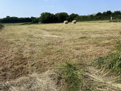 Terrain constructible - 1 300 m²