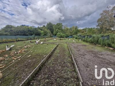 Maison - 135 m² - 7 pièces