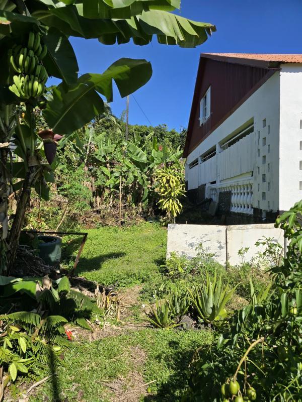 Maison - 160 m² - 7 pièces