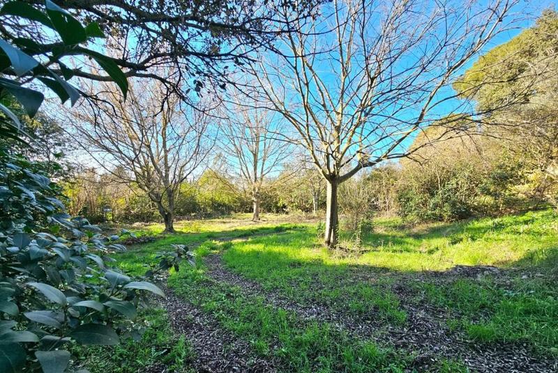 Maison - 149 m² - 6 pièces