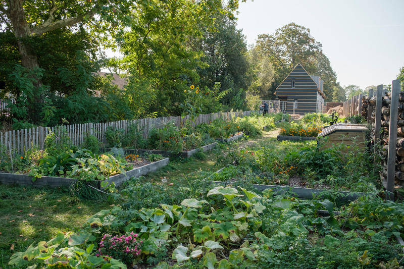 Les 4 saisons du Parc version automne