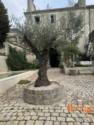 Maison - 350 m² - 10 pièces