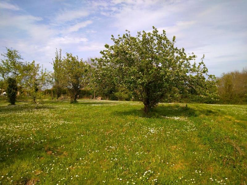 Terrain constructible - 1 250 m²