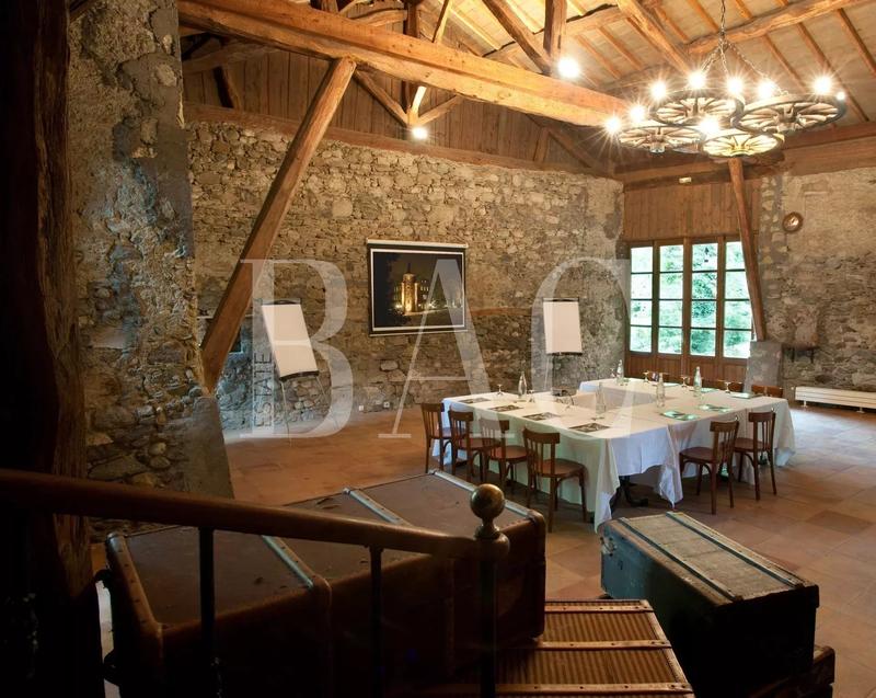 Château - 1 290 m² - 12 pièces