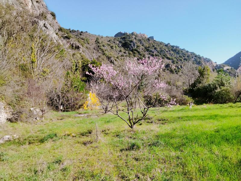 Terrain agricole - 1 400 m²