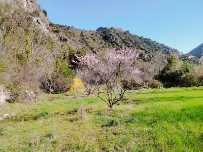 Terrain agricole - 1 400 m²