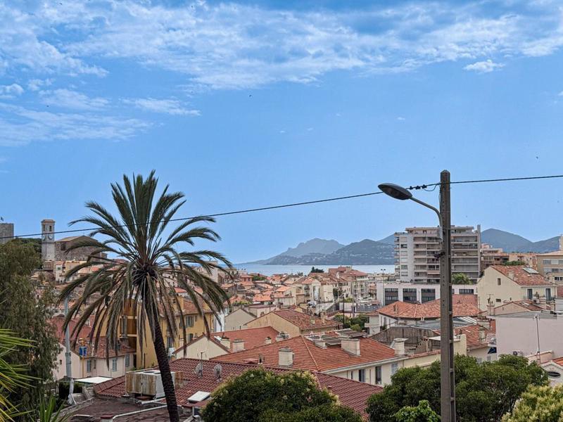 Studio - 23 m² - 1 pièce