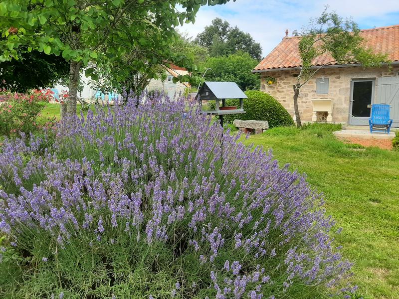 Melissa Miel, visite gratuite chez un apiculteur
