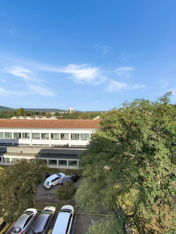 Appartement - 30 m² - 2 pièces