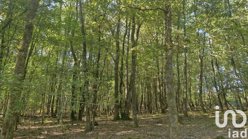 Ferme - 300 m² - 5 pièces