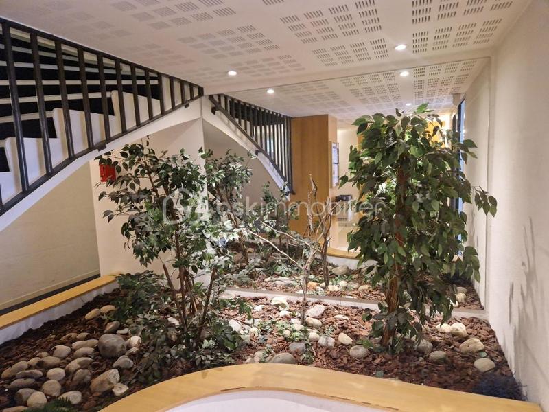 Appartement - 31 m² - 2 pièces