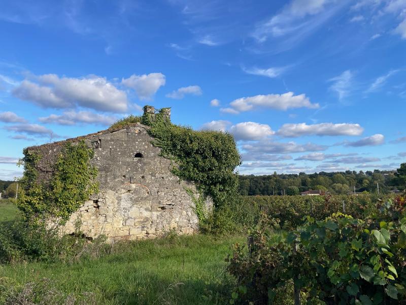 Maison ancienne - 450 m² - 3 pièces