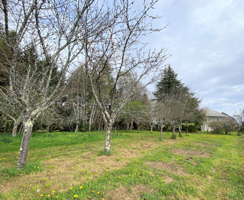 Maison - 230 m² - 8 pièces