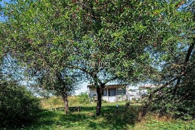 Terrain de loisirs - 2 550 m²