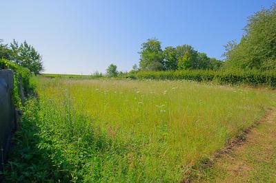 Terrain constructible - 1 219 m²