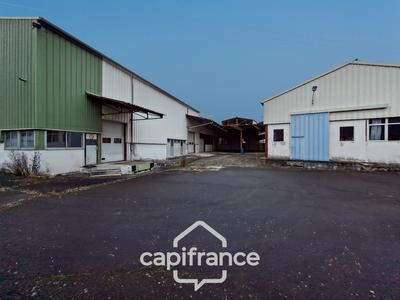 Bureau - 3 800 m² - 6 pièces