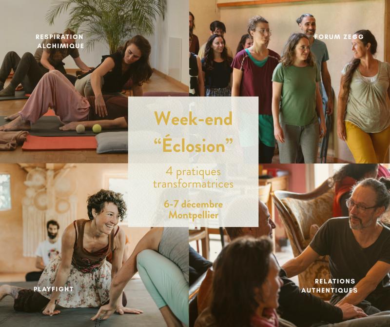 Week-end &quot;Éclosion&quot; : 4 pratiques transformatrices !